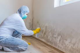 Best Water Damage & Mold Remediation  in Arthur, IL